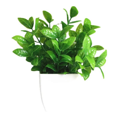 Elegancia Esmeralda - Bonsai